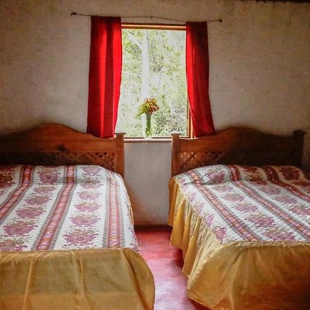 Cabanas Tonina Kayab Ocosingo 外观 照片