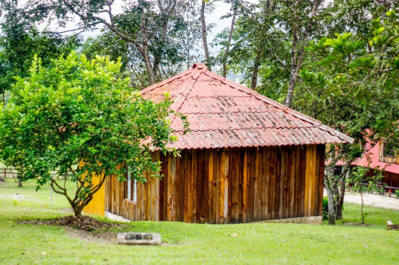 Cabanas Tonina Kayab Ocosingo 外观 照片